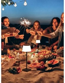 Immax 08492L - LED Stmievateľná vonkajšia solárna lampa LED/4W/5V IP44