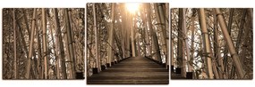 Obraz na plátne - Drevená promenáda v bambusovom lese - panoráma 5172FD (120x40 cm)