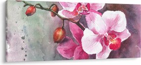 Obraz - Orchidey, aquarel (120x50 cm)