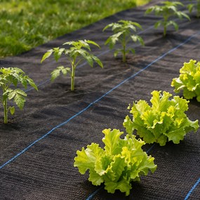 MultiGarden Čierna agrotextília UV 135g - 3,2x50m MulltiGarden