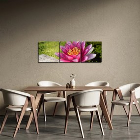 Obraz - Lekno (s hodinami) (90x30 cm)