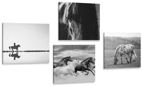 Set obrazov pre milovníkov koní v čiernobielom prevedení - 4x 60x60