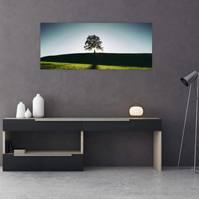 Obraz prírody - strom (120x50 cm)