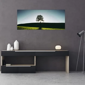 Obraz prírody - strom (120x50 cm)