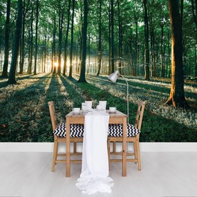 Fototapeta - Les (152,5x104 cm)