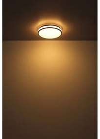 Globo 41266-18 - LED RGBW Stmievateľné stropné svietidlo BETHA LED/18W/230V + DO