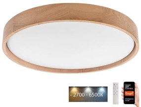 Brilagi - LED stropné svietidlo MANAROLA SMART LED/36W/230V + DO Tuya