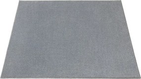 Koberec Himalaya 274 strieborný