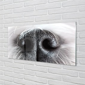 Sklenený obraz psie ňufák 125x50 cm