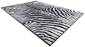 Koberec MIRO 51331.803 zebra, čierny / biely