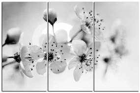 Obraz na plátne - Malé kvety na vetve 1173QB (120x80 cm)