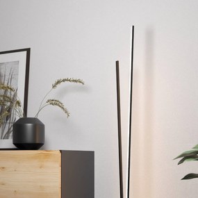 Stojacia LED lampa Panagria, čierna drevený detail