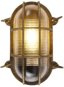 Nástenná a stropná lampa zlatá/mosadzná oválna IP44 - Noutica