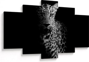 Obraz - Portrét leoparda (150x105 cm)