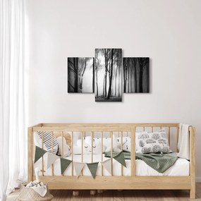 Obraz - Vlk v temnom lese (90x60 cm)