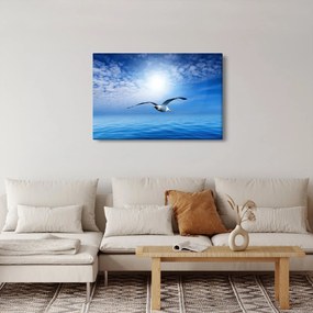 Obraz - Čajka nad morom (90x60 cm)