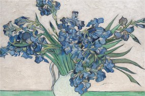 Obraz - Vincent van Gogh, Irises, reprodukcia (90x60 cm)