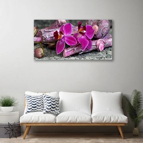 Obraz Canvas Drevo kvety rastlina príroda 120x60 cm