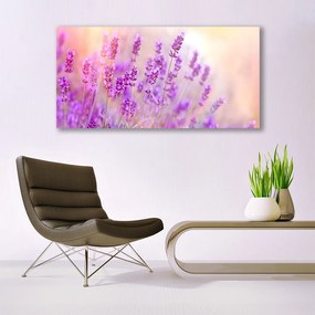Obraz plexi Levanduľovej pole slnko kvety 120x60 cm