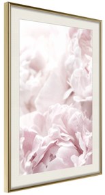 Artgeist Plagát - Fluffy Peonies [Poster] Veľkosť: 20x30, Verzia: Zlatý rám