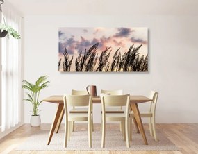 Obraz tráva pri zapadajúcom slnku Varianta: 100x50