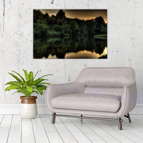Obraz jazera pri lese (90x60 cm)