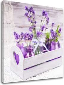 Obraz na stenu FIALOVÉ KVETY_164-12