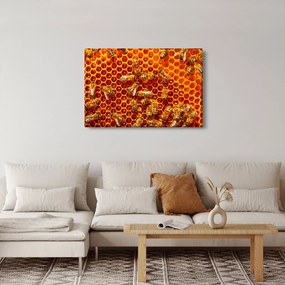 Obraz - Medový plást (90x60 cm)
