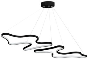 Stropní LED svítidlo DUPLE ARTISAN černé/studená bílá