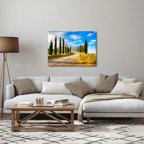 Obraz - Krajina (70x50 cm)