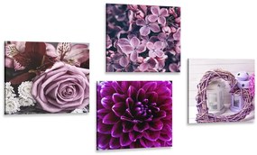 Set obrazov fialové kvety so srdiečkom