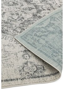 Sivo-krémový koberec 200x290 cm Nova – Asiatic Carpets
