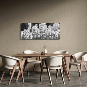Obraz - Letná lúka (120x50 cm)