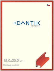 DANTIK rám na obraz 15x20 | ALU Dýha barevná červená třešeň (Sklo Čiré)