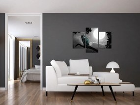 Obraz - Nočná sova, modrá (90x60 cm)