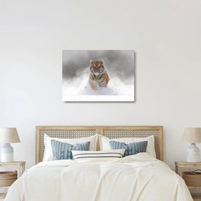 Sklenený obraz bežiaceho tigra v snehu (70x50 cm)