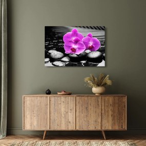 Obraz - Fialové orchidey (90x60 cm)