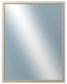 DANTIK - Zrkadlo v rámu, rozmer s rámom 70x90 cm z lišty RIVIERA Au (3100)