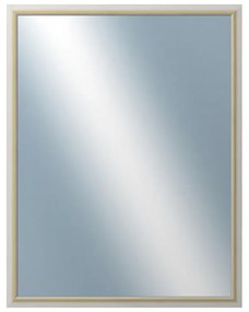 DANTIK - Zrkadlo v rámu, rozmer s rámom 70x90 cm z lišty RIVIERA Au (3100)
