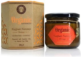 Song of India Organic Goodness - Nagpuri Narangi Orange