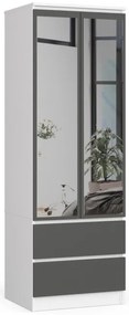 Skriňa STAR S 60 cm 2D 2SZ zrkadlá CLP biela / sivá