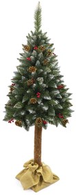 TRENDIE Vianočný stromček Borovica diamantová s jarabinou na pníku 160 cm