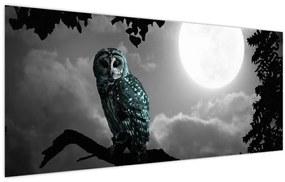 Obraz - Nočná sova, modrá (120x50 cm)