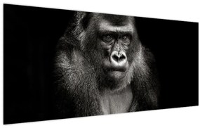 Obraz - Gorila (120x50 cm)
