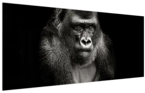 Obraz - Gorila (120x50 cm)