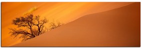 Obraz na plátne - Červené piesočné duny - panoráma 5133A (120x45 cm)