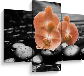 Obraz - Oranžové orchidey (90x60 cm)