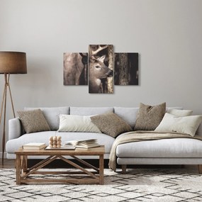 Obraz - Jeleň v lese (90x60 cm)