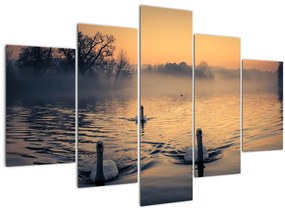 Obraz labutí na vode v hmle (150x105 cm)