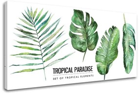 Obraz na stenu s textom Tropical paradise | rôzne rozmery